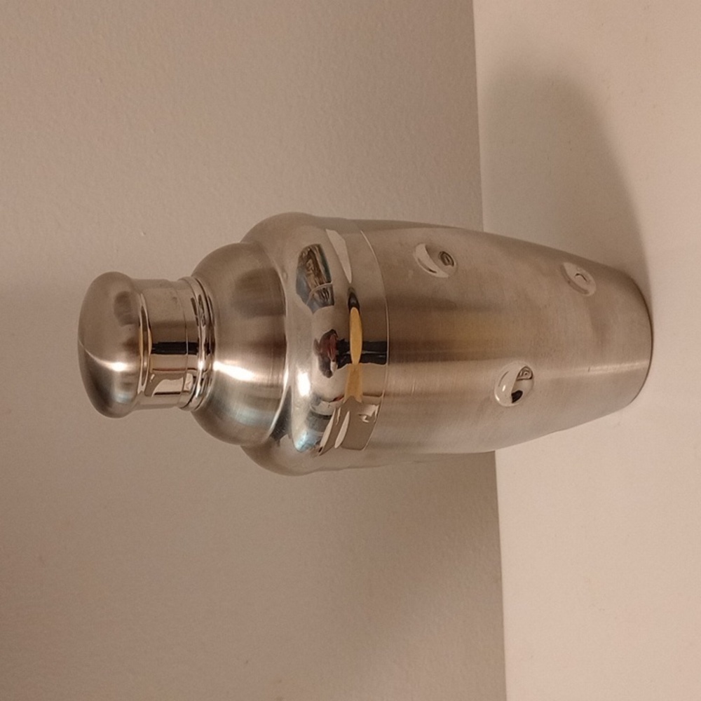 Well Equipped Martini Shaker